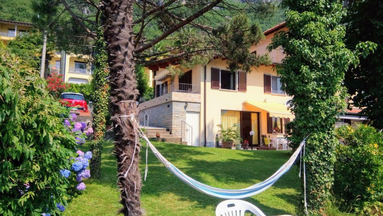 Le Palme Antonella Villa Cima Ngoại thất bức ảnh